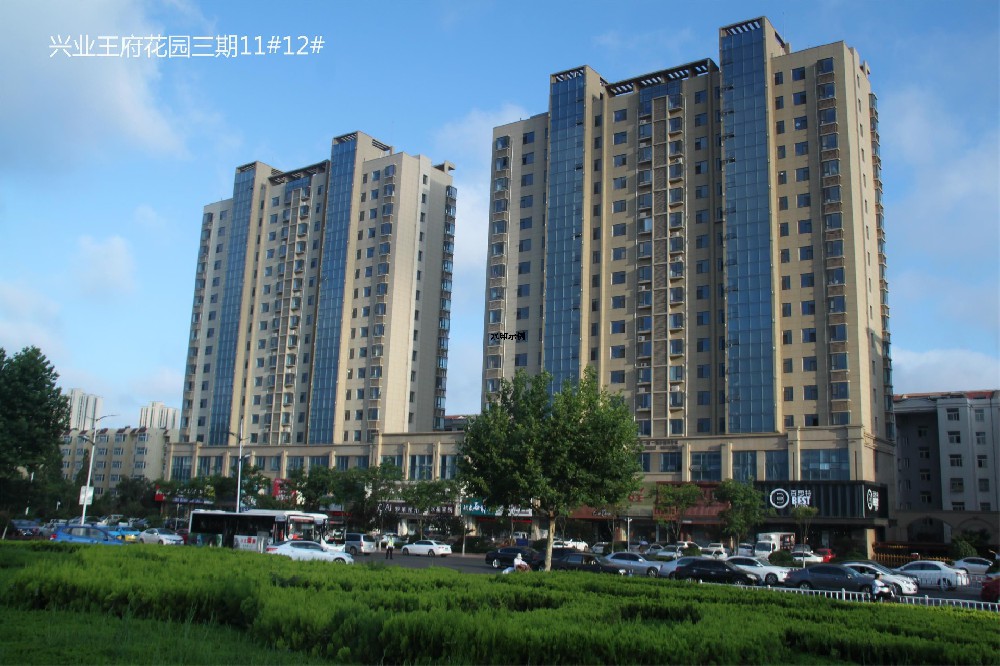 兴业王府花园三期11#12#""